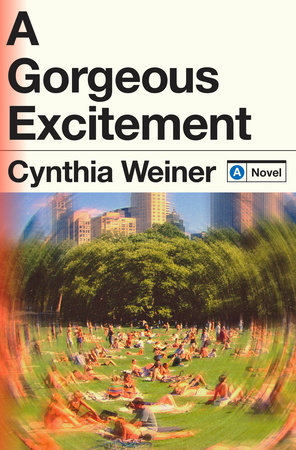 A GORGEOUS EXCITEMENT Book Cover Image