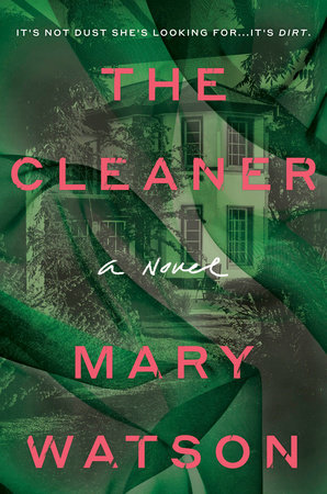 THE CLEANER Book Cover Image