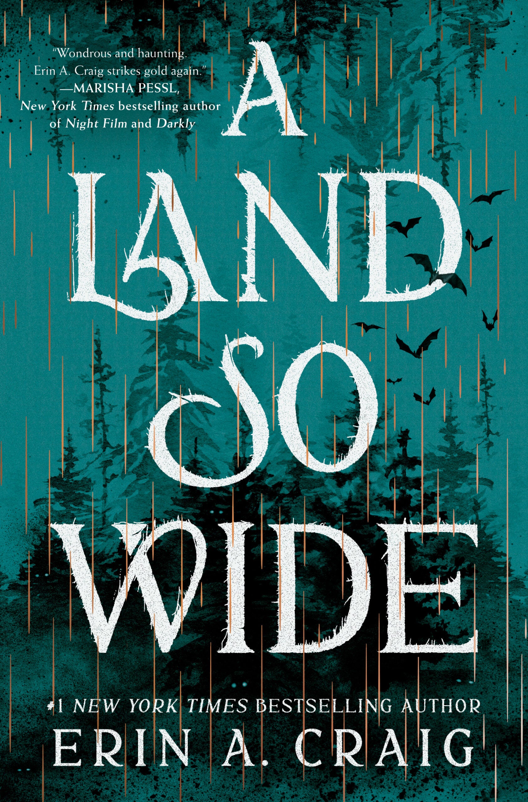A LAND SO WIDE Book Cover Image