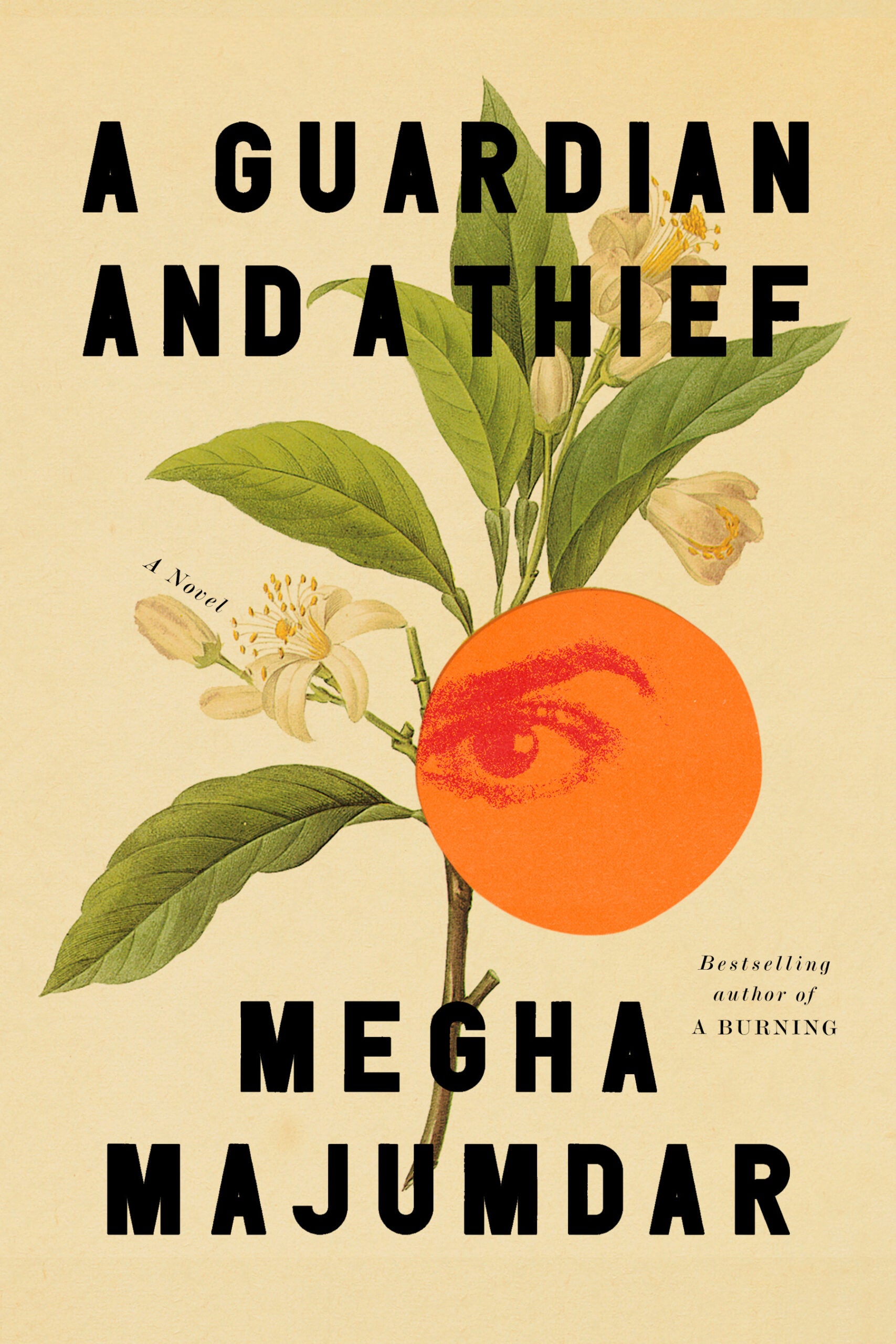 GUARDIAN AND A THIEF Book Cover Image
