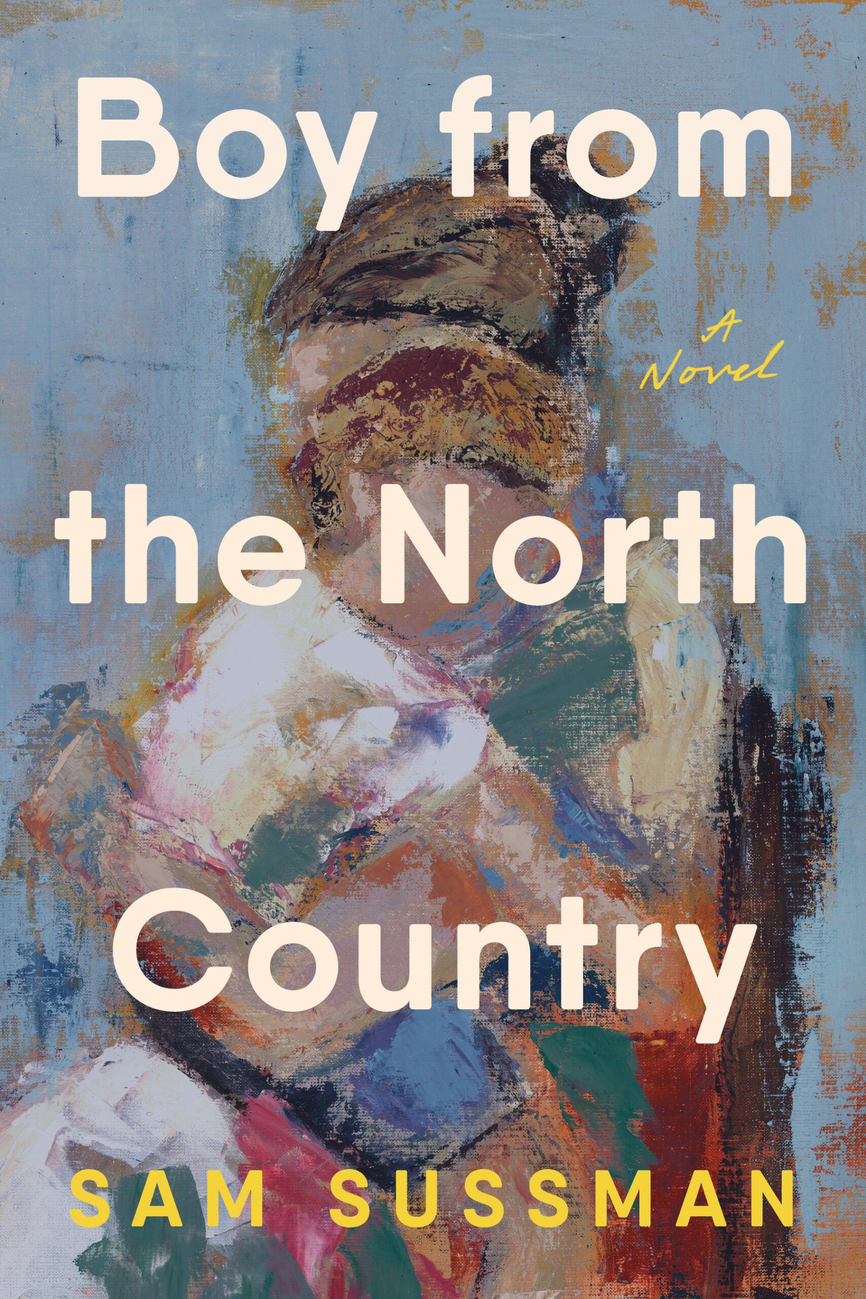 BOY FROM THE NORTH COUNTRY Book Cover Image