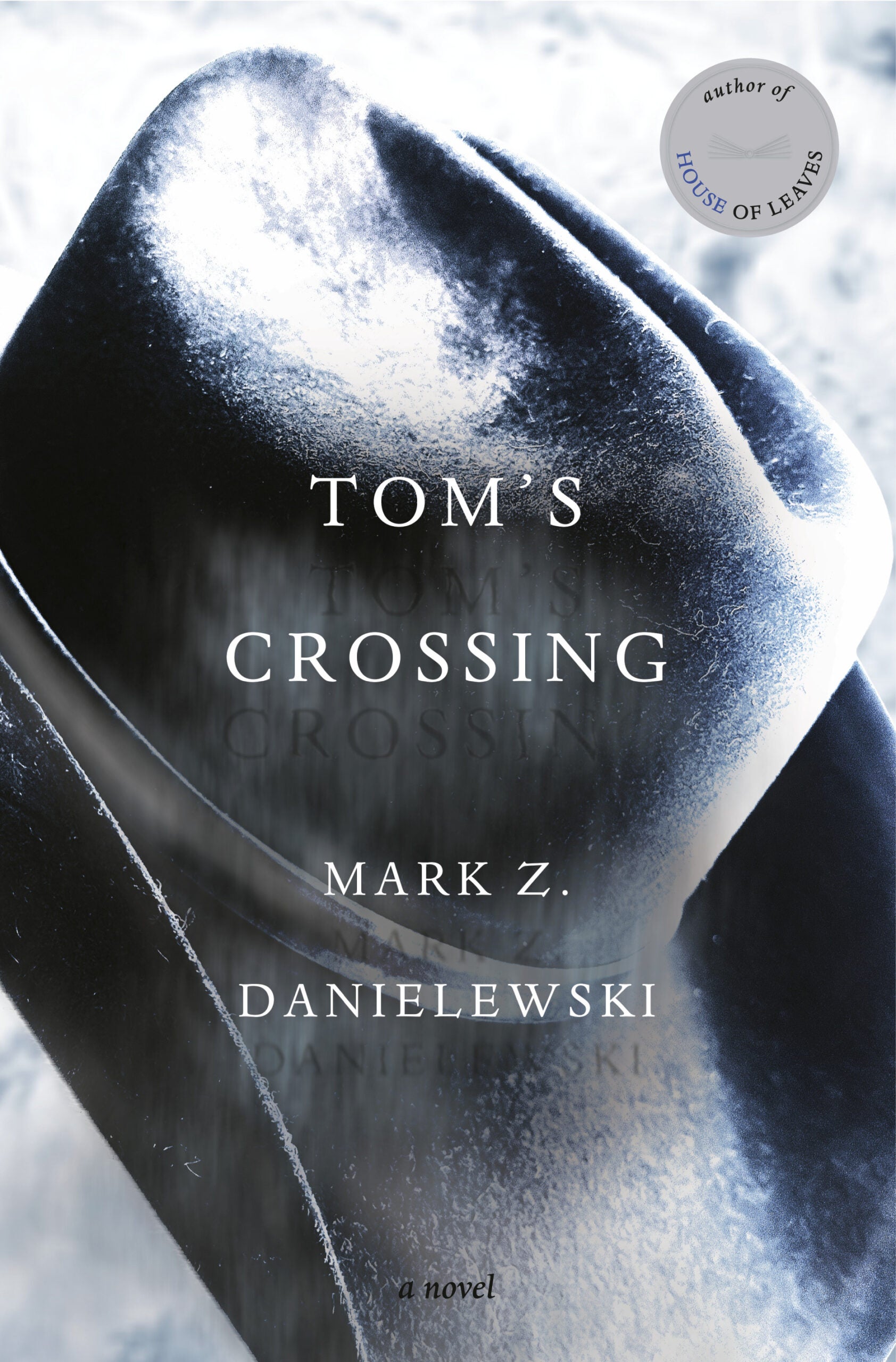 TOM'S CROSSING Book Cover Image