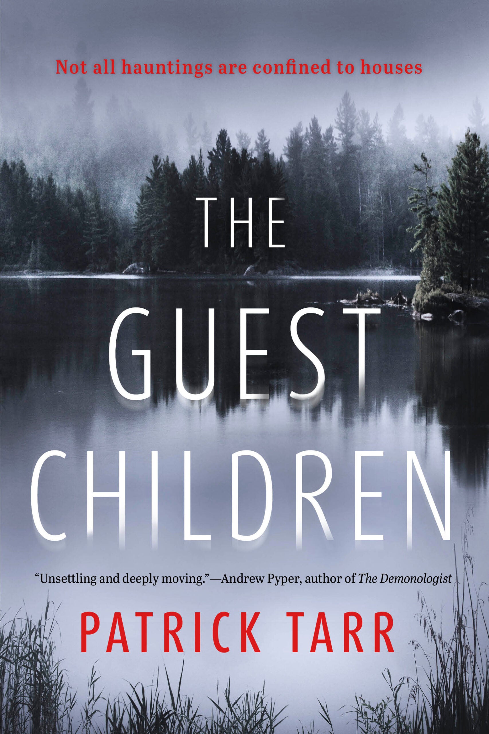 THE GUEST CHILDREN Book Cover Image