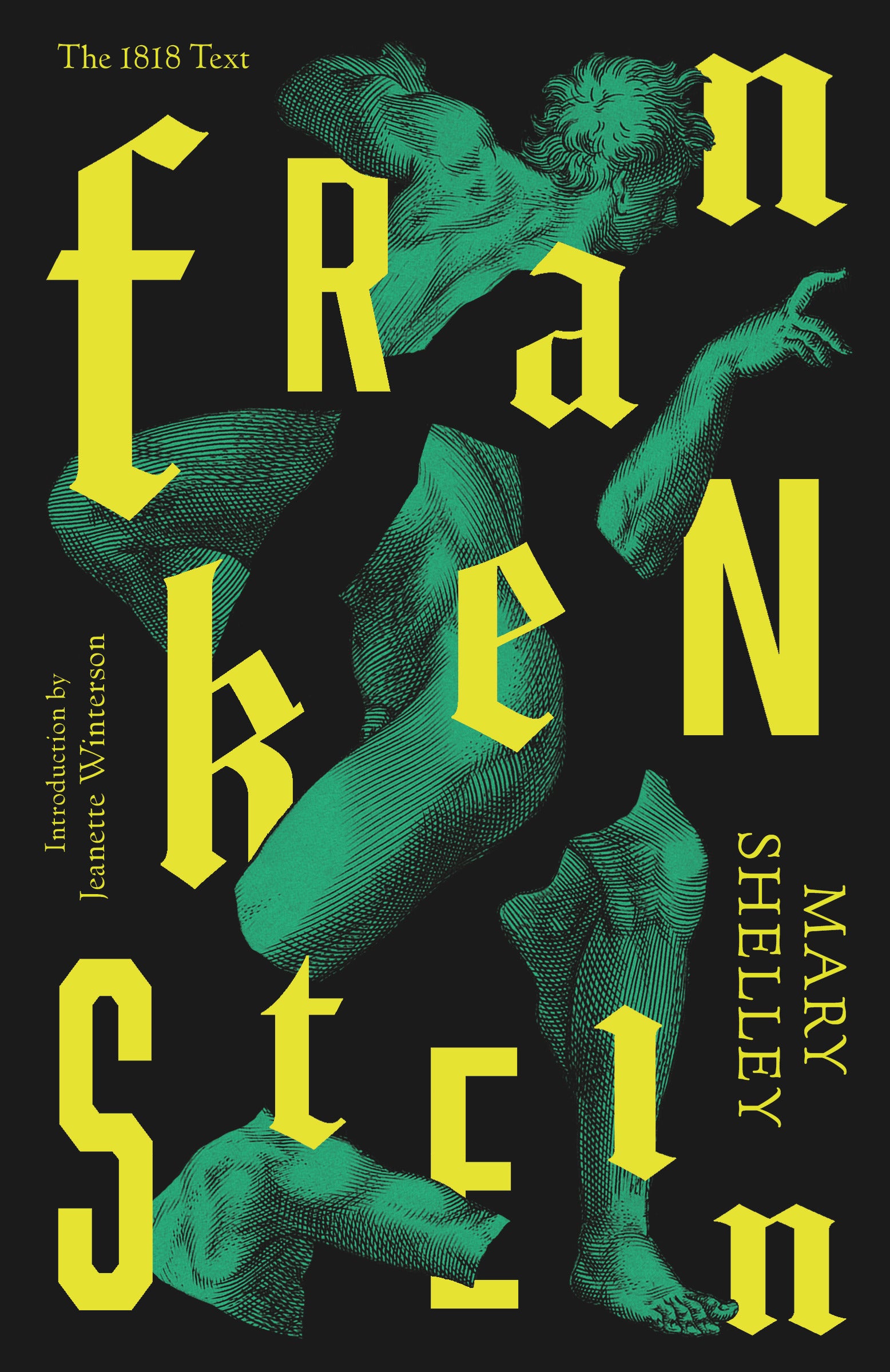 FRANKENSTEIN UPDATED VINTAGE EDITION 2025 Book Cover Image