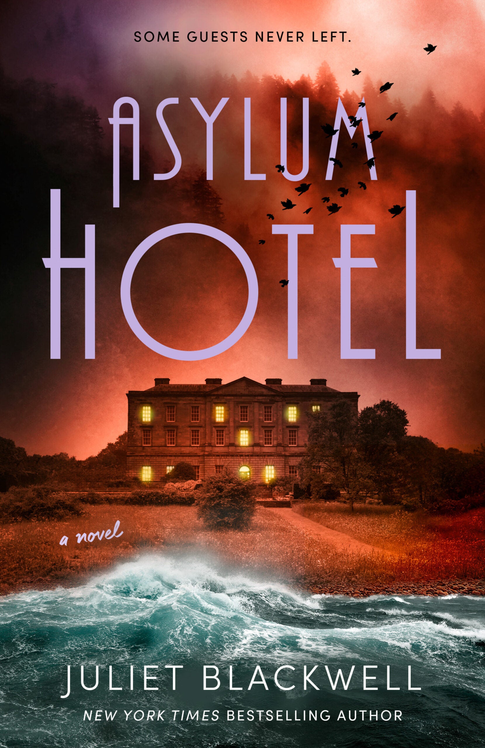 ASYLUM HOTEL Book Cover Image