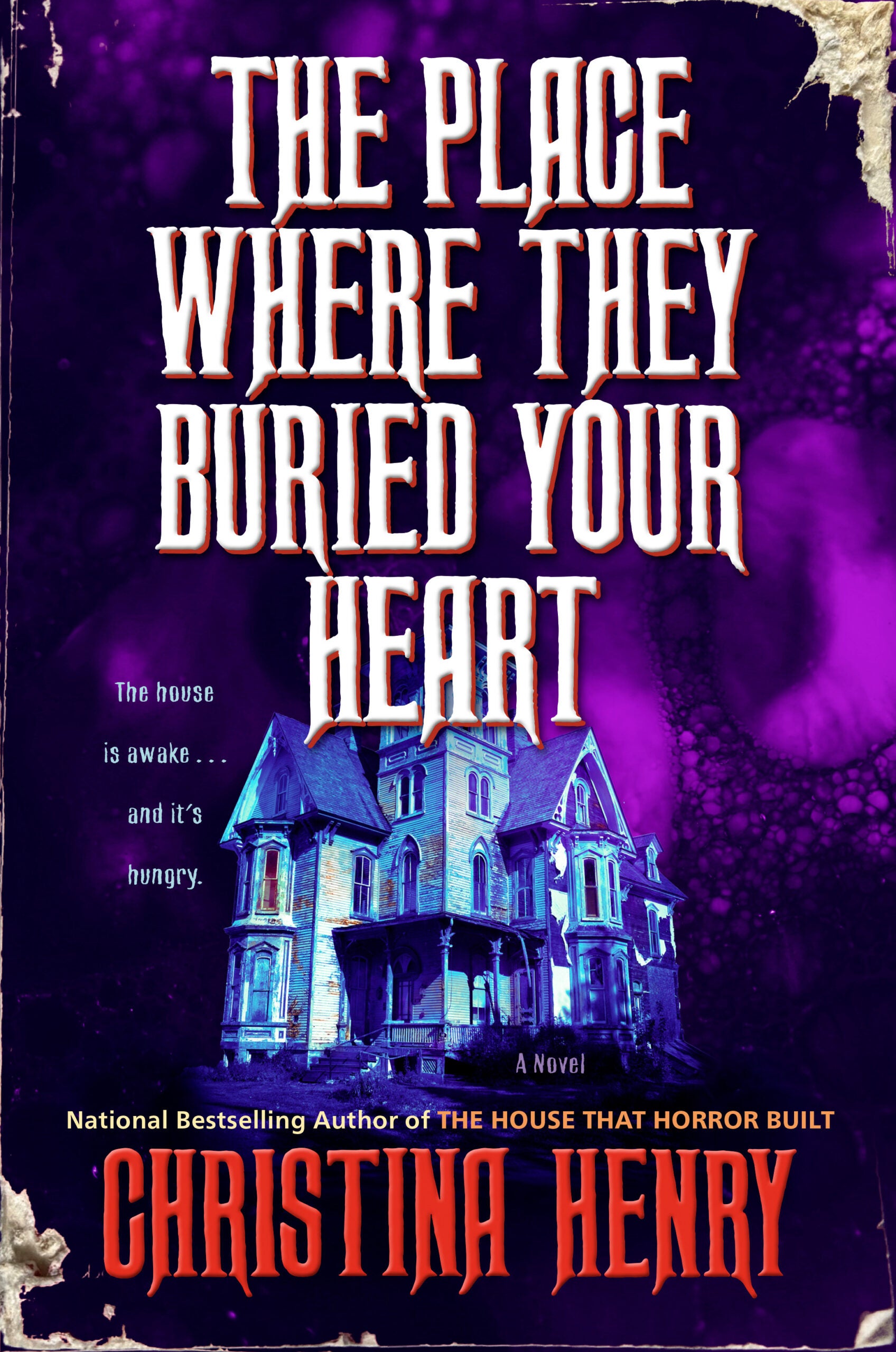 THE PLACE WHERE THEY BURIED YOUR HEART Book Cover Image